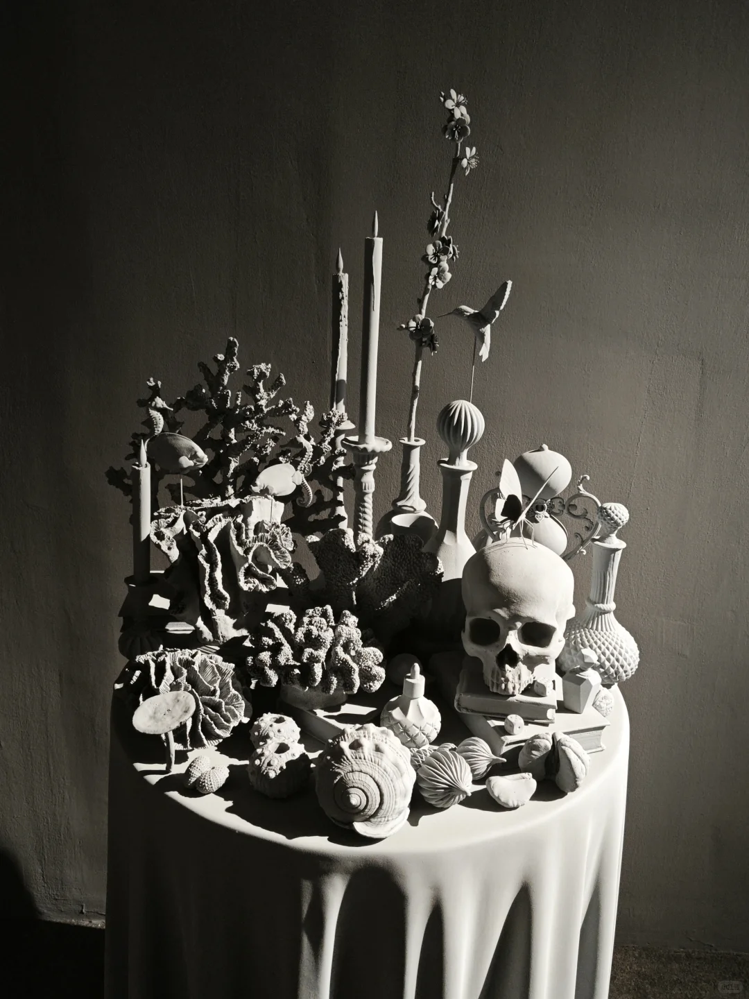 798逛展攻略｜免费逛一天超治愈?️～