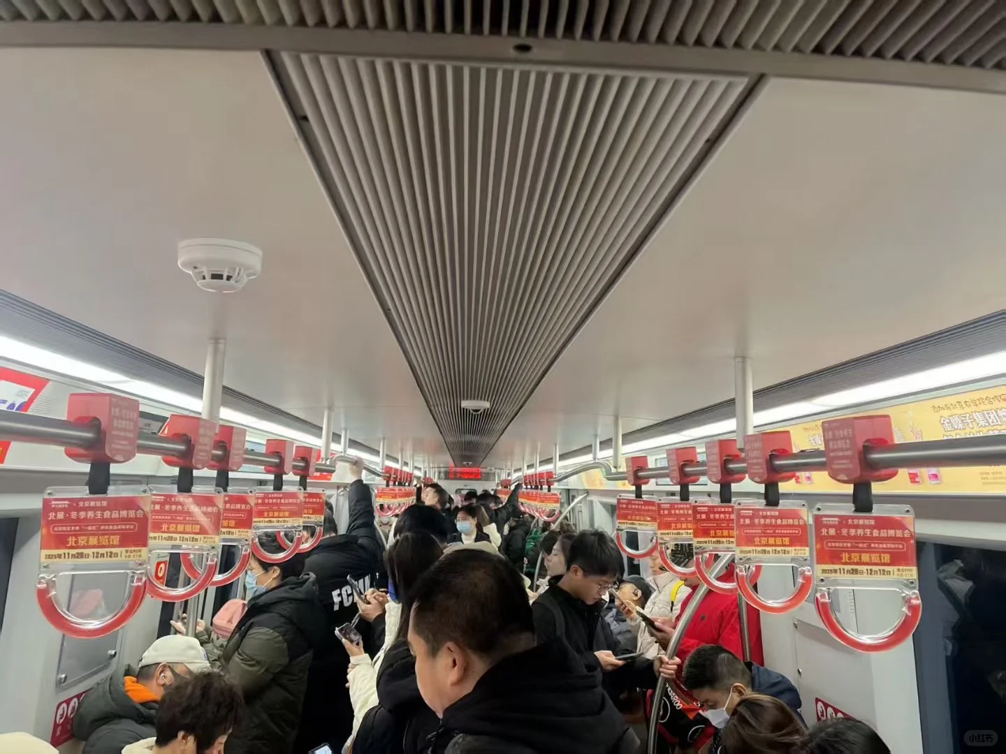 北展食博会进入开幕倒计时