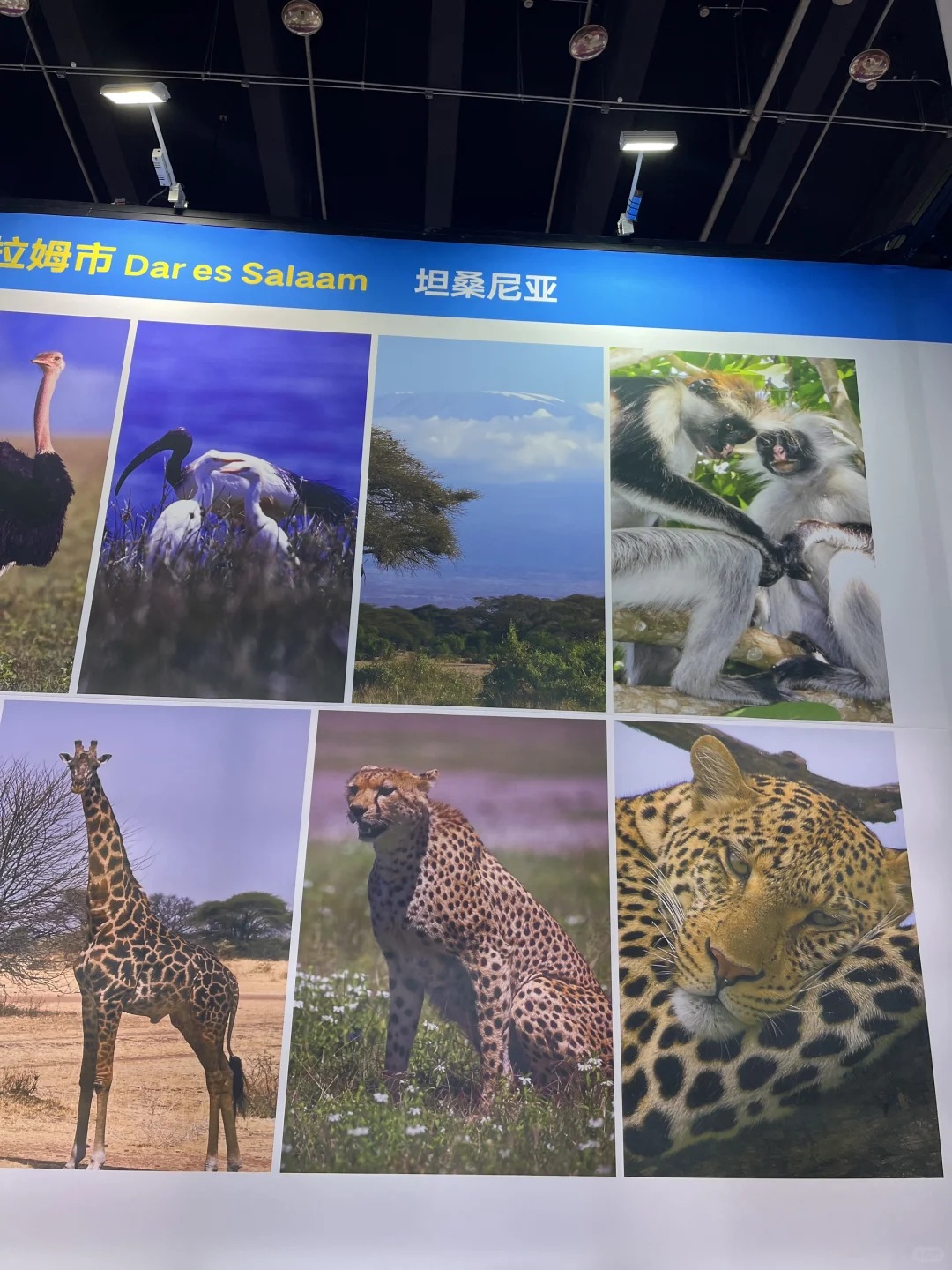 义乌进口展来啦～