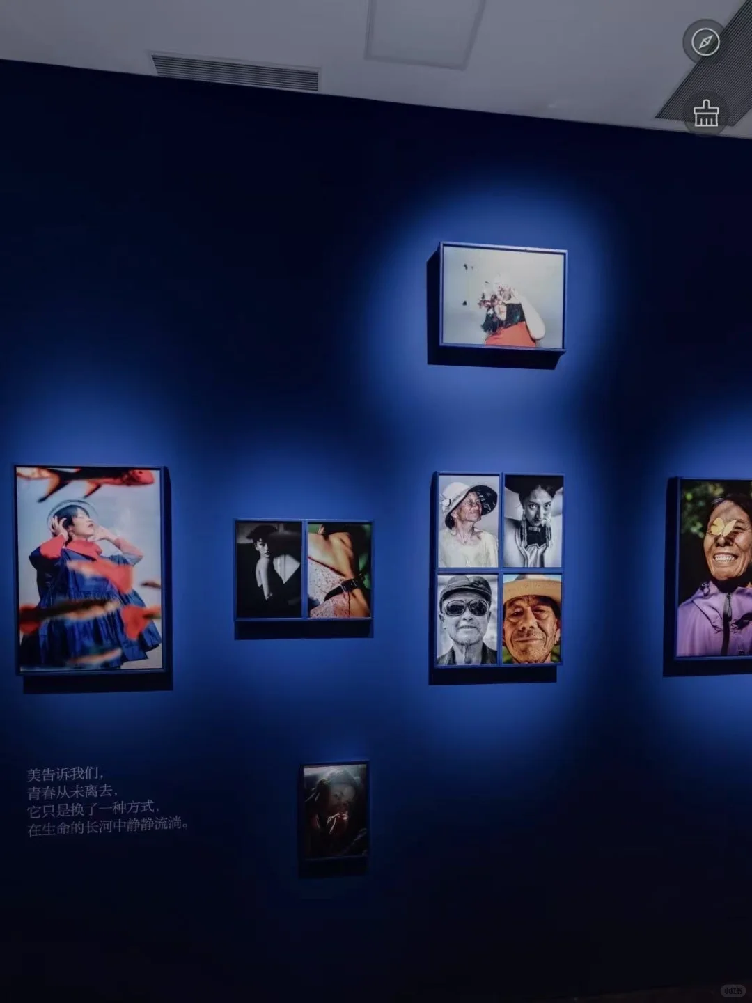 线上观展 | 在家也能“走进”天府影艺看展览