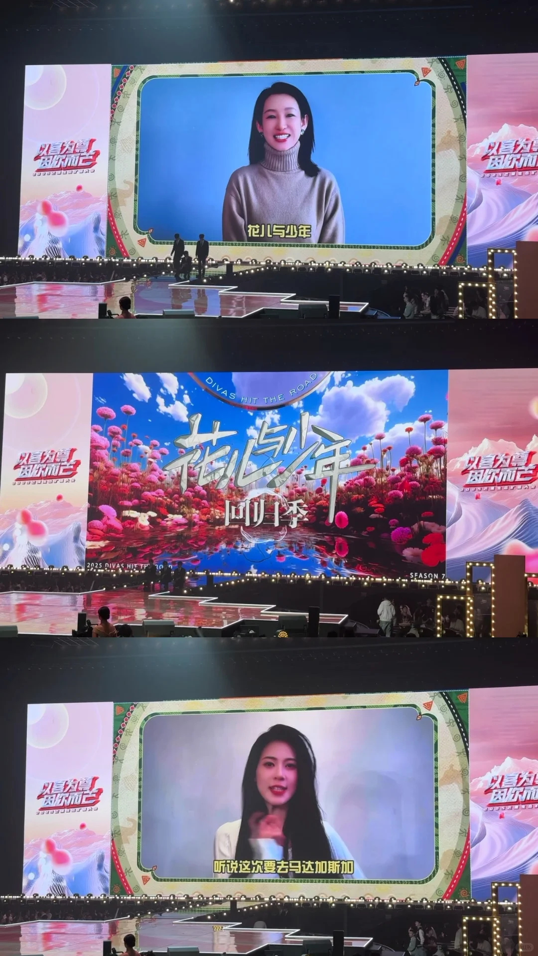 是谁看到了2025芒果?招商会