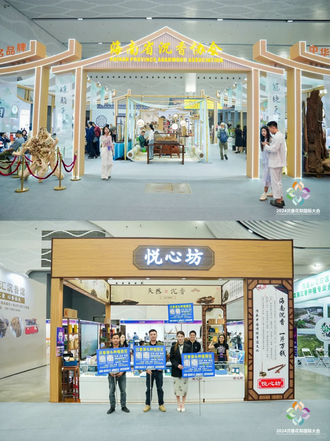 错过这届天香国色展,再等一年!!!