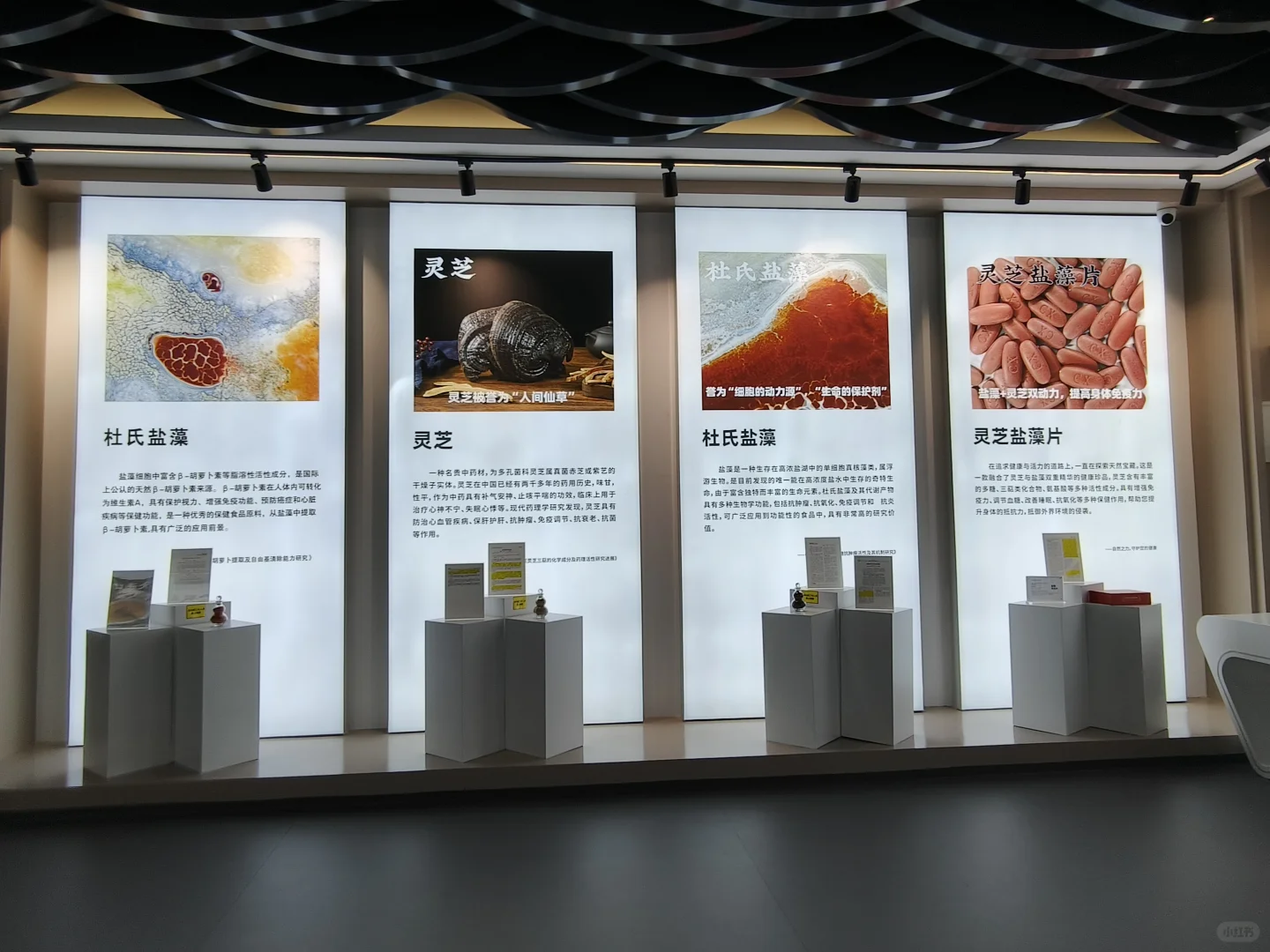 养生党必看！创喜燕窝，古方+科技双buff