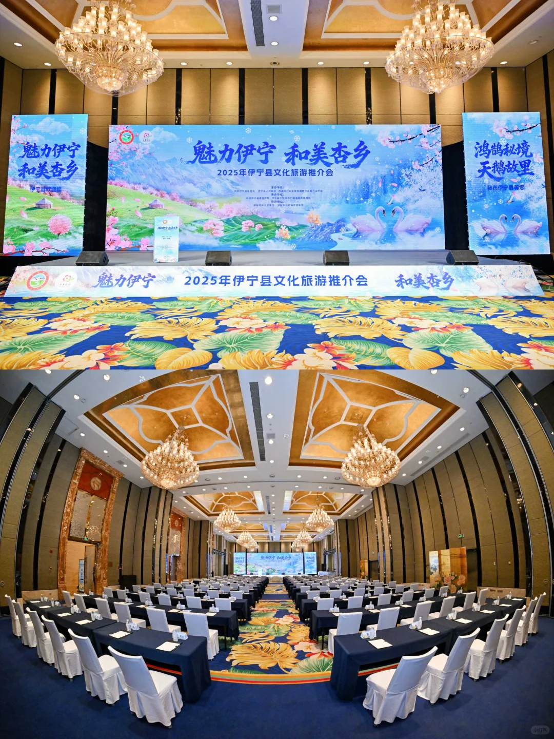 魅力伊宁·推介会