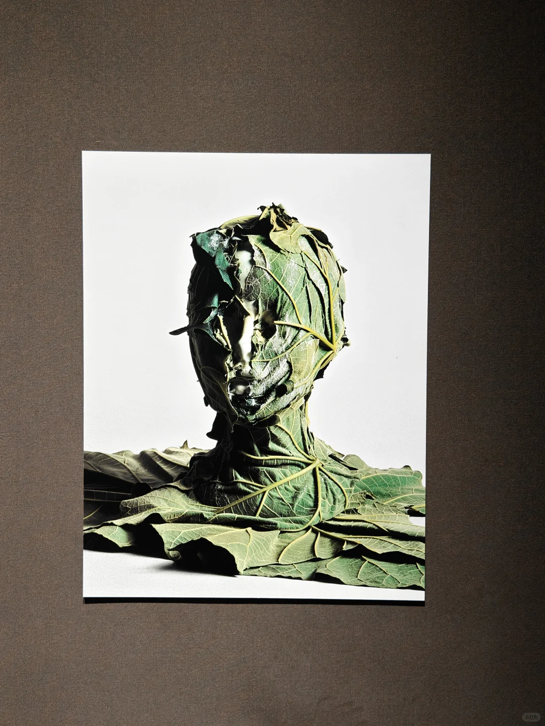 去双年展与同频的人共赴一场花开有声的约会