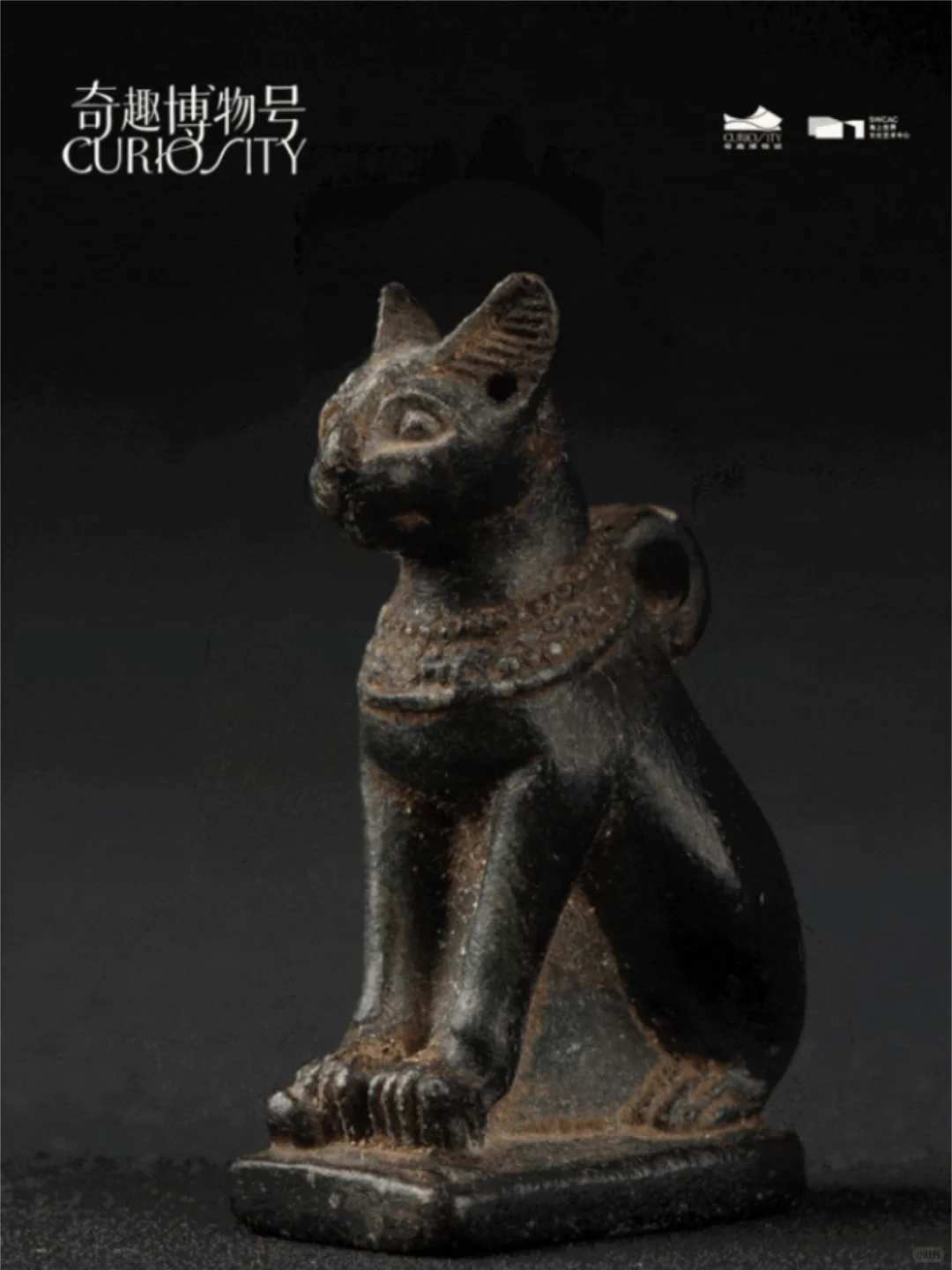 重磅新展| 穿越亿年与古文明来一场震撼对话