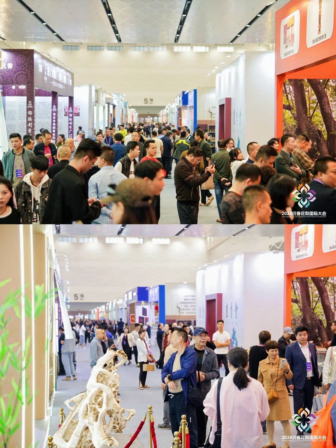 天香国色展，3万㎡展区藏了多少宝贝？