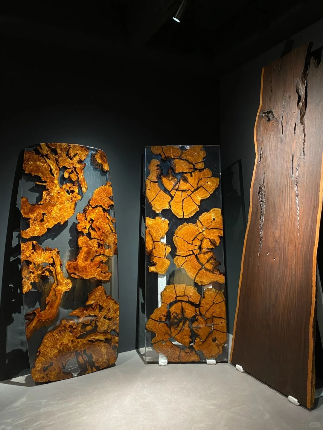 慢慢理解生活 ?也慢慢更新自己