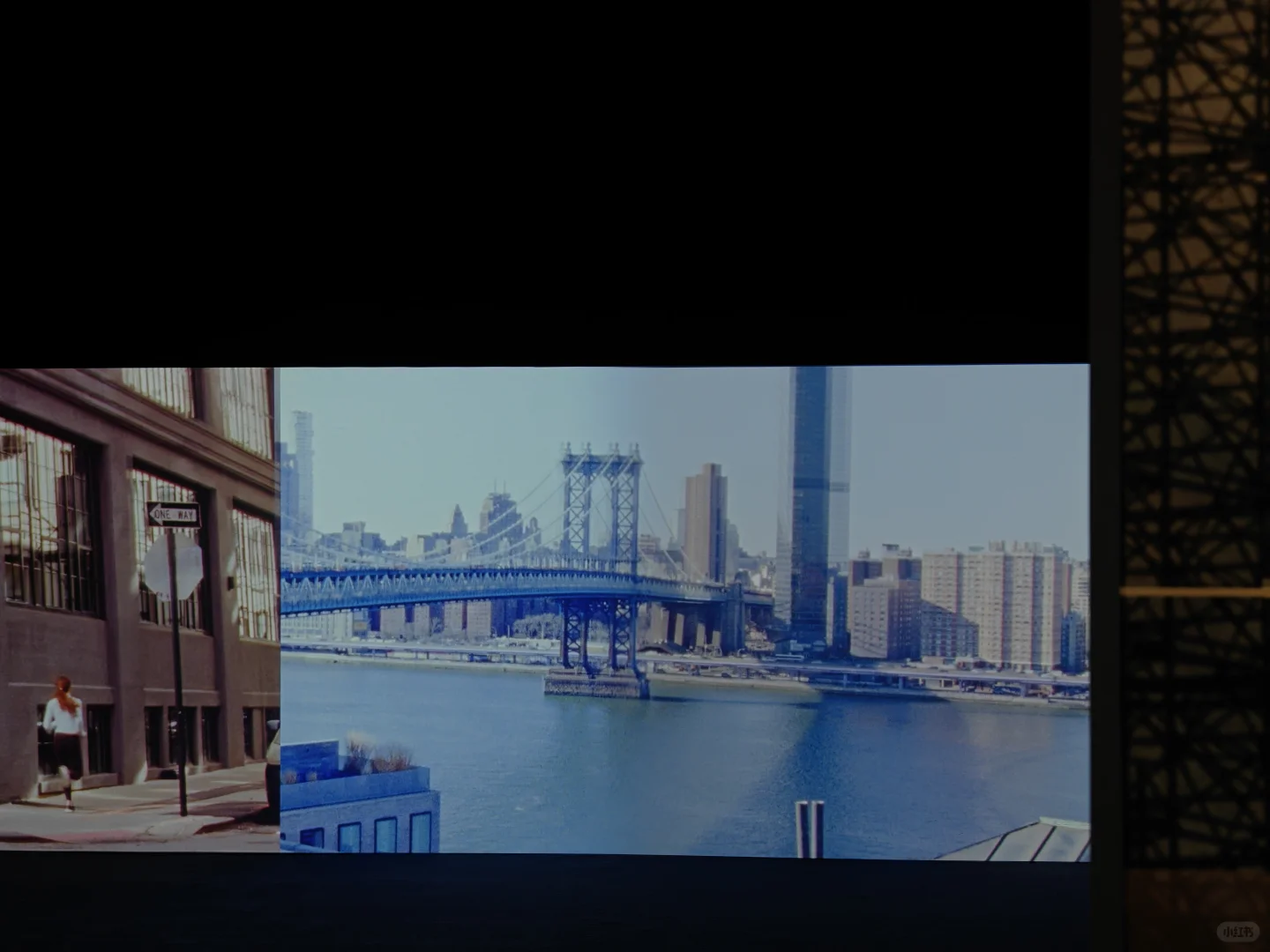 去双年展与同频的人共赴一场花开有声的约会