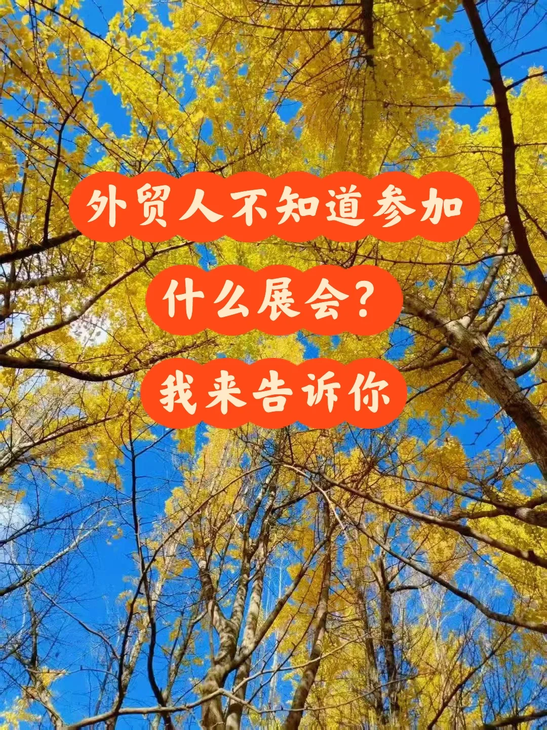 外贸人不知道参加什么展会？