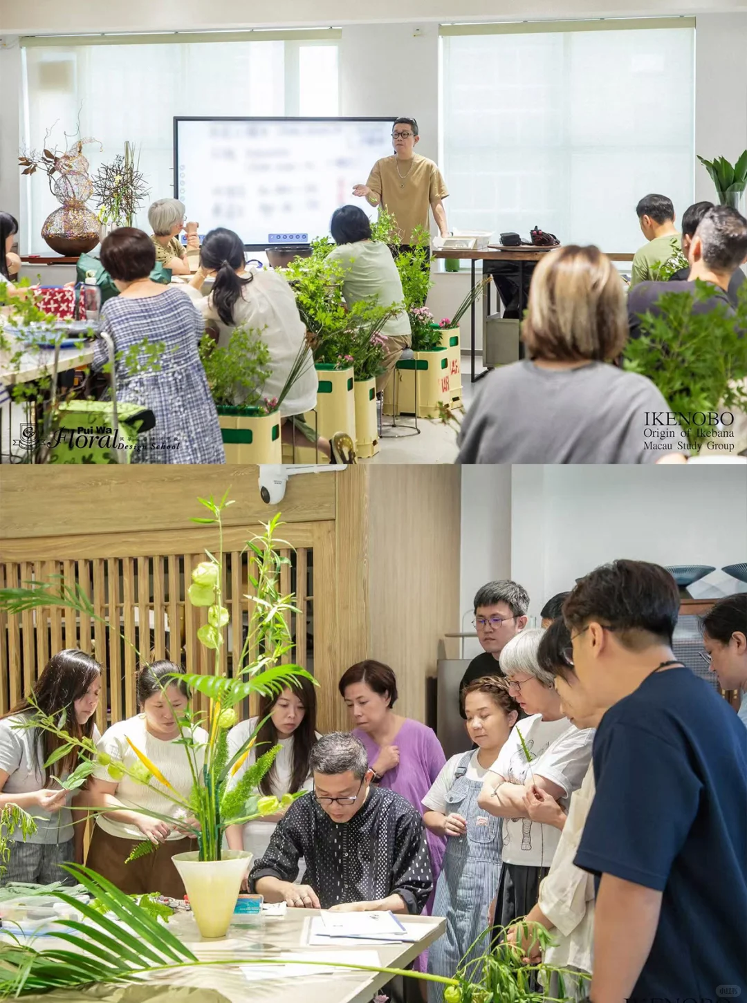 世界级花艺盛事空降深圳?异形花瓶限量领！