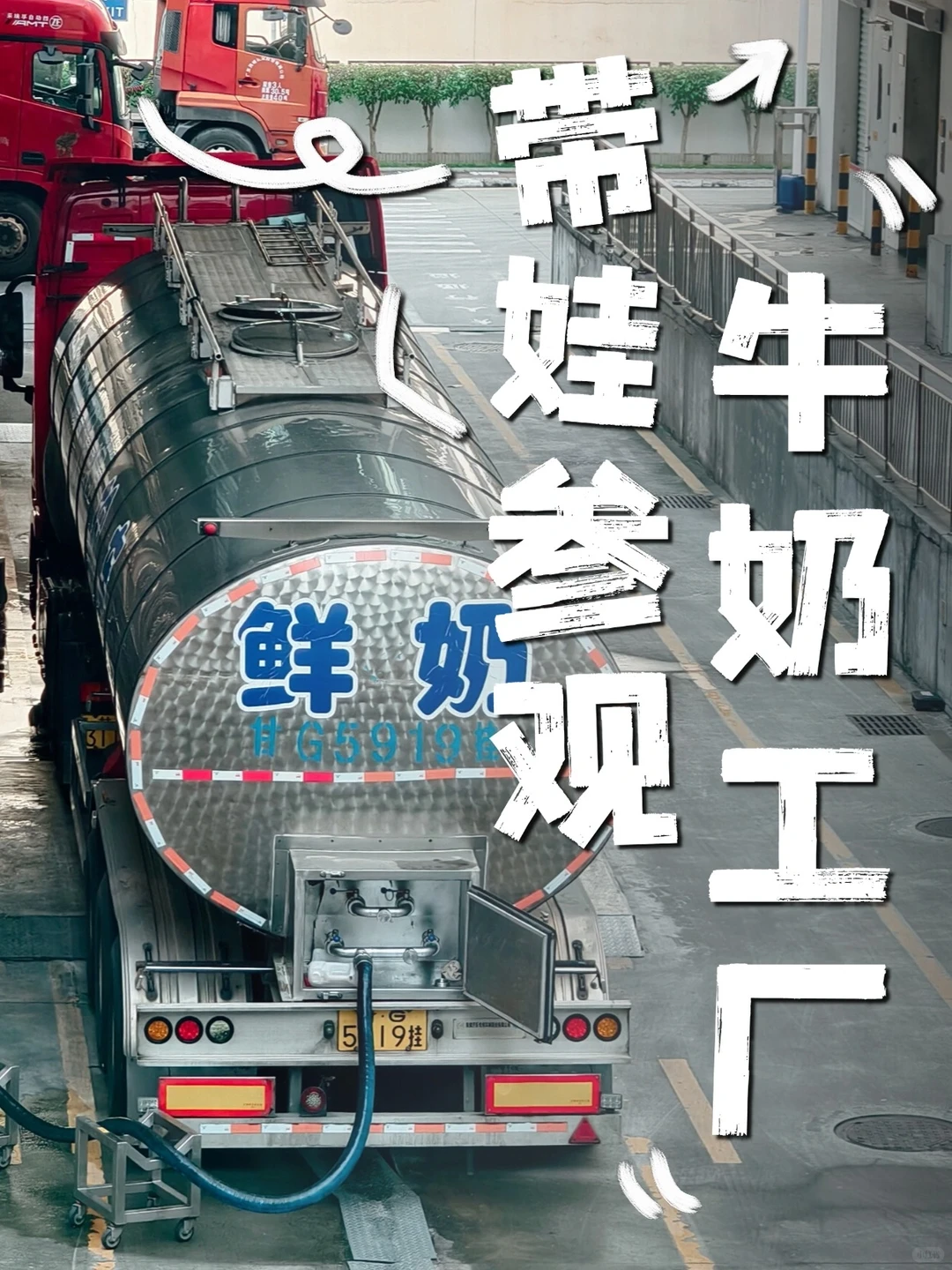 广州遛娃｜本周末！带孩子参观燕塘牛奶工厂