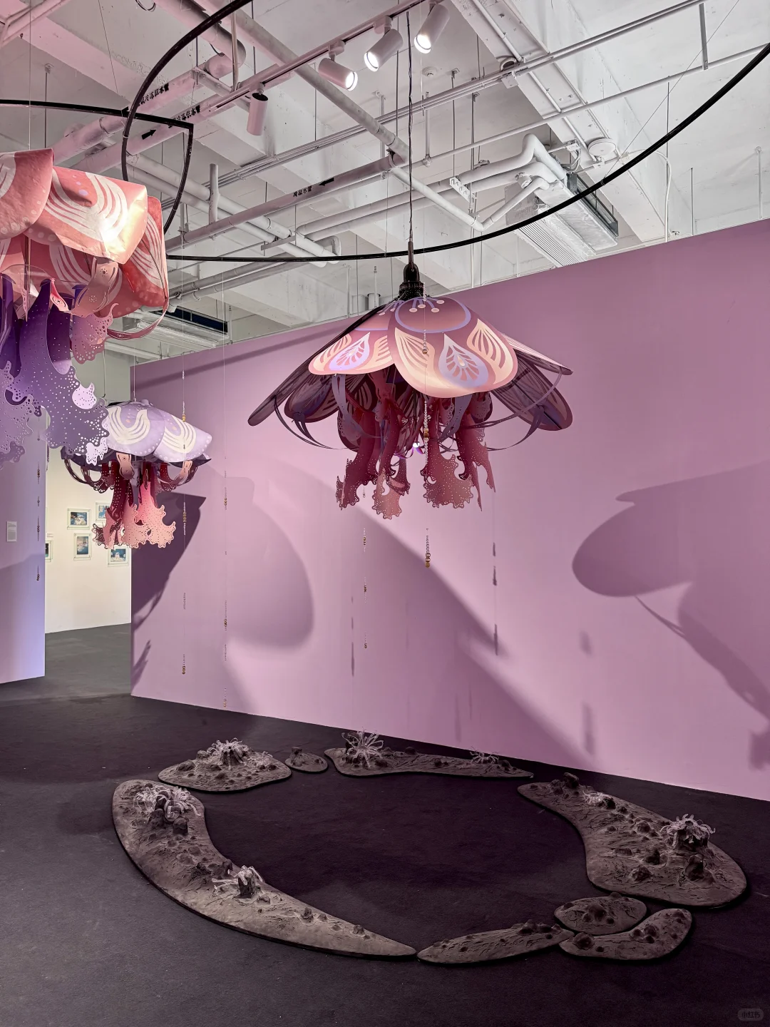 深圳新展｜纸艺创作的梦幻世界?直达（附机位