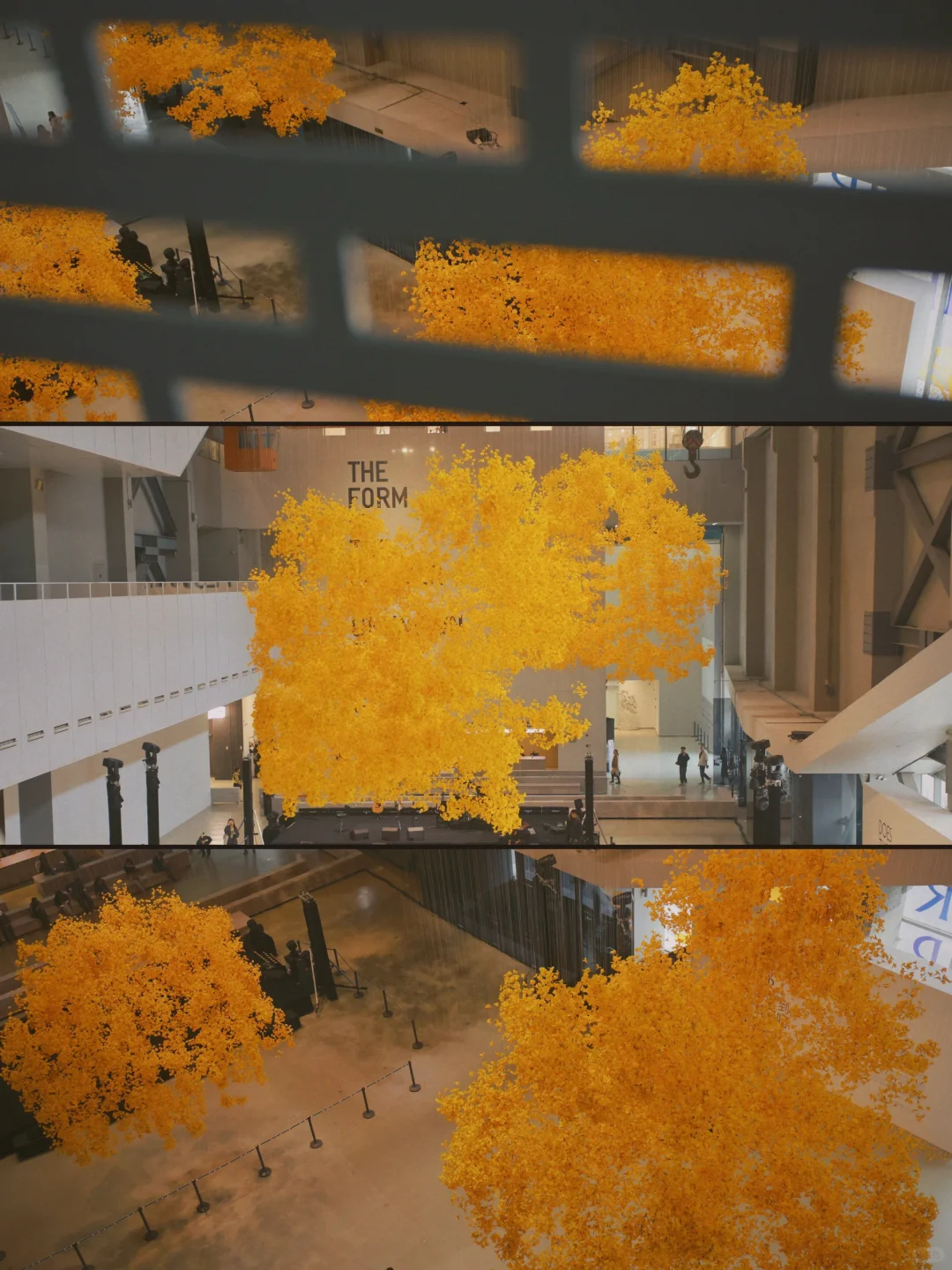 上海新展｜年度必看的双年展超全逛展指南