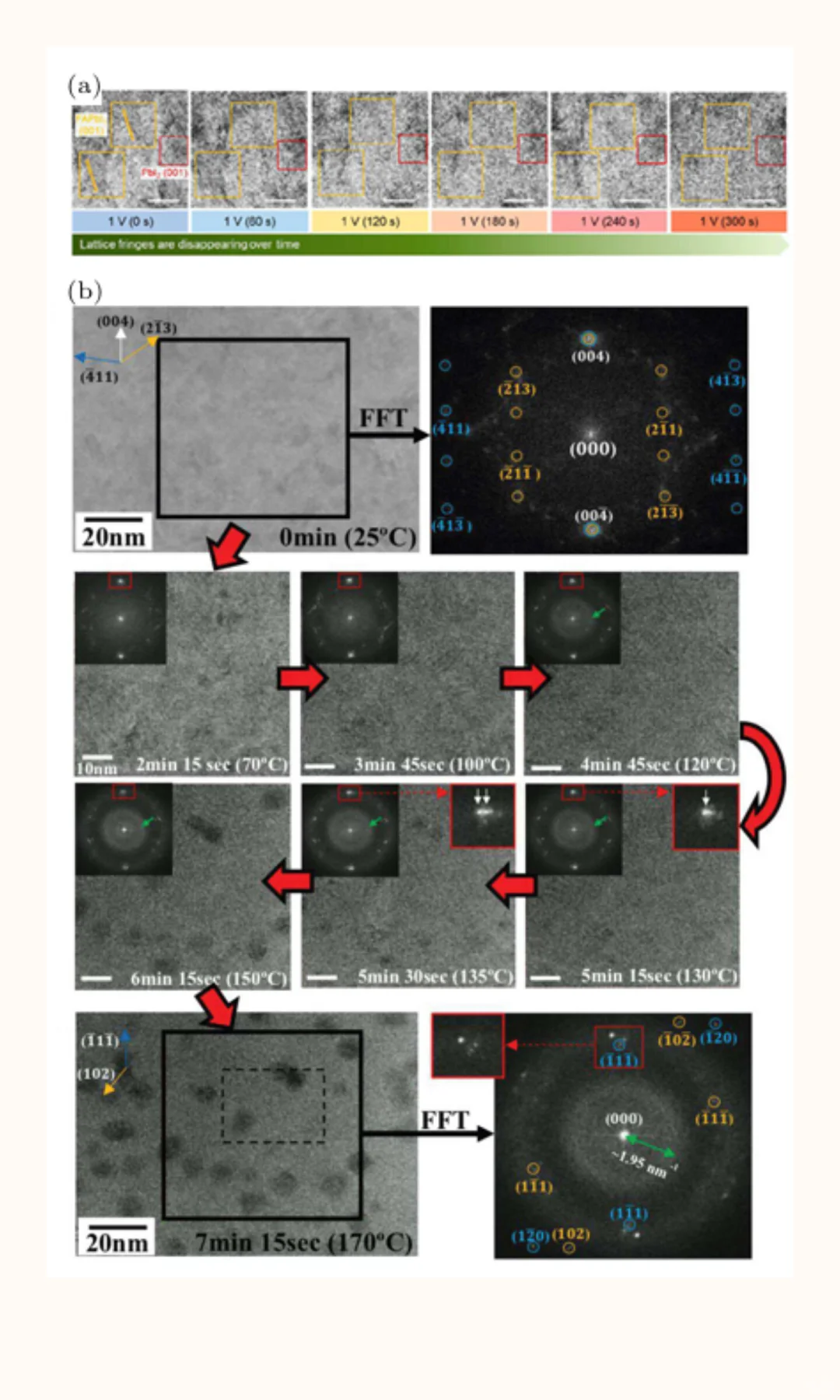 Chin. Phys. B | 钙钛矿