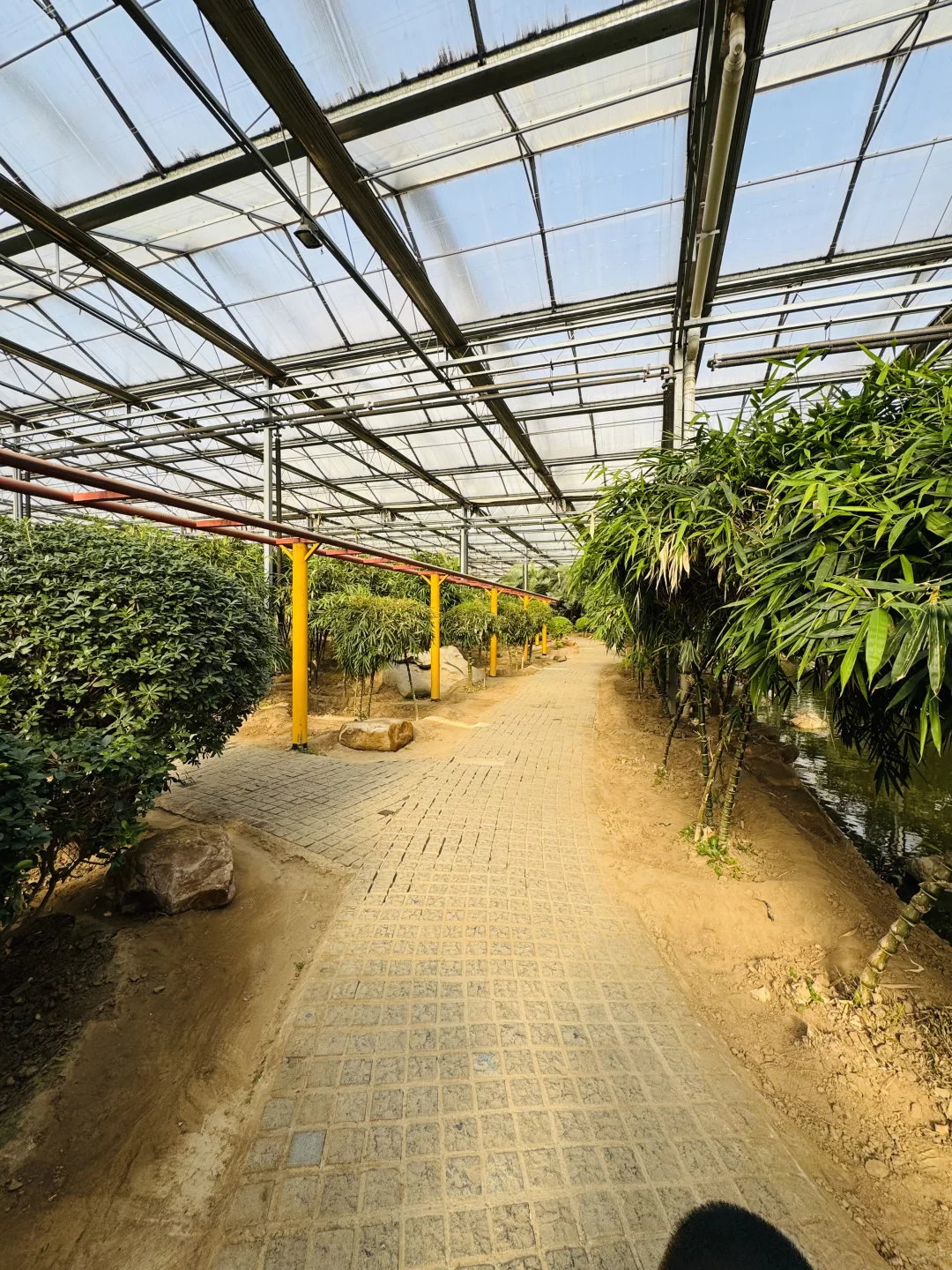 感受廊坊人民的阳光房快乐