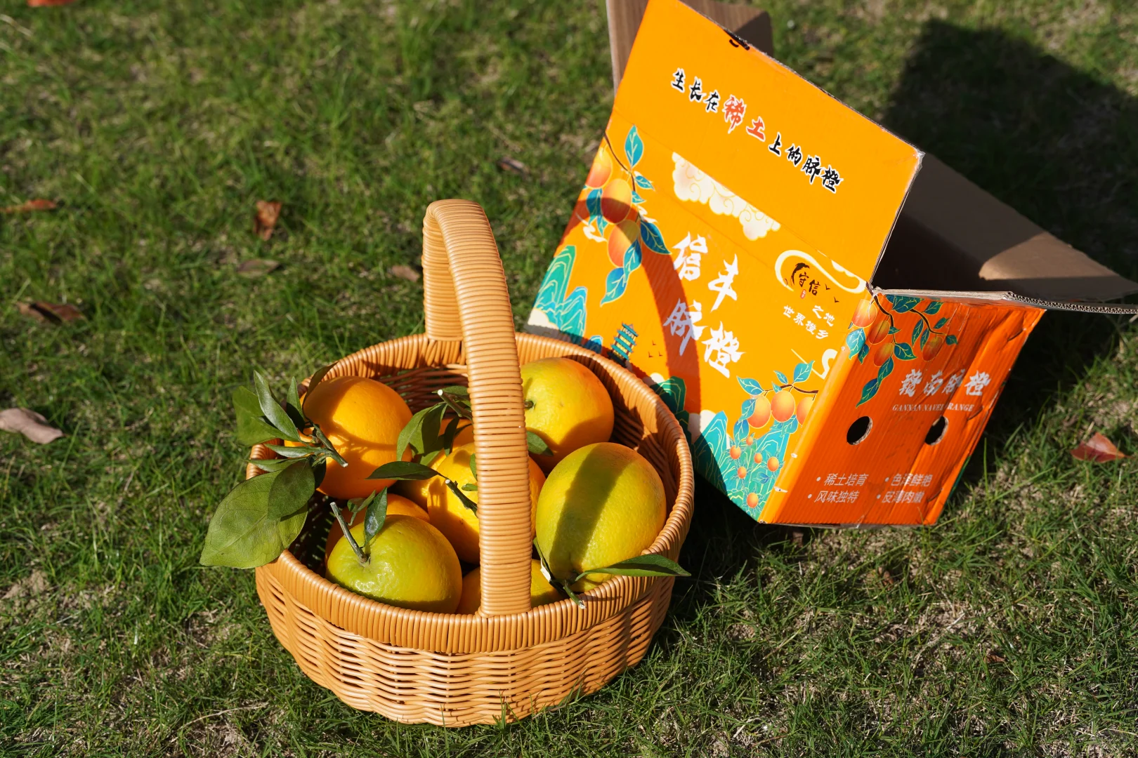 2025 友毅联助残！赣南脐橙甜透山海