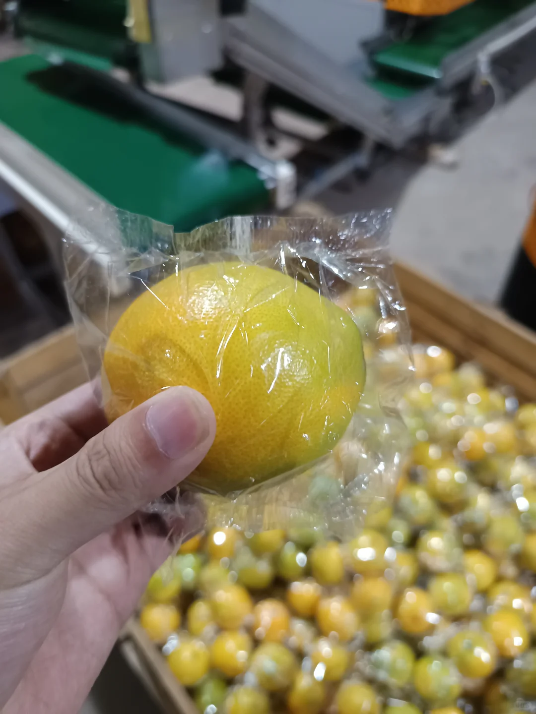 听说淡奶油分等级了……