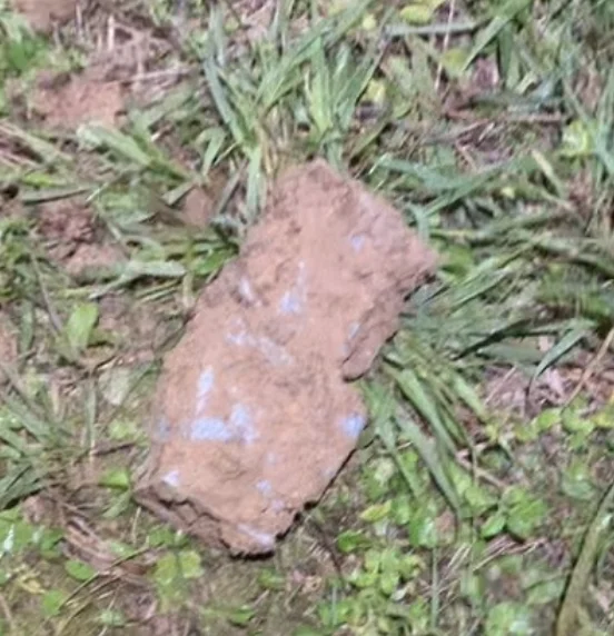 揭露一个内容特别炸裂的直播间