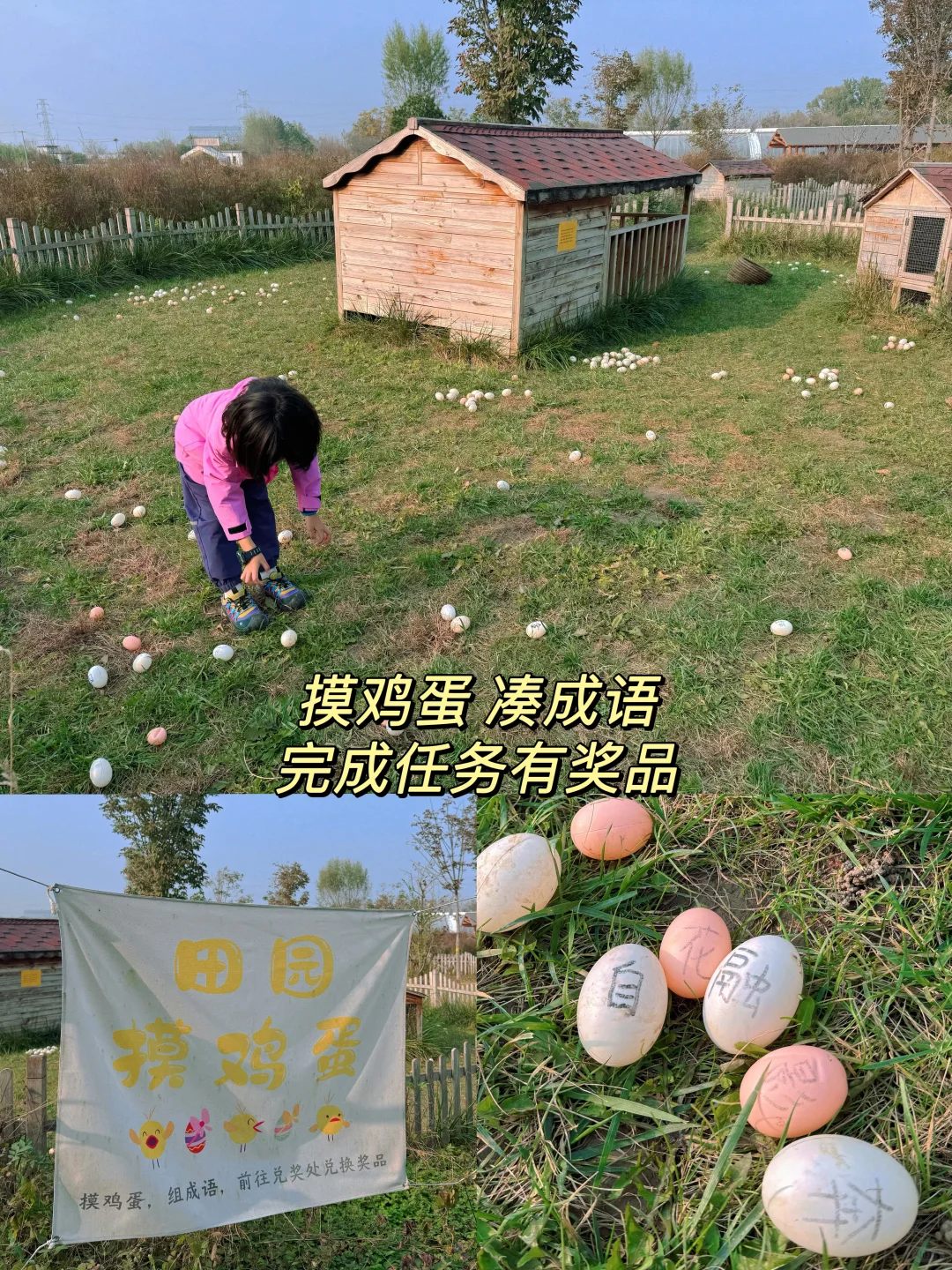 海淀竟然有这么好玩的小农场?被惊艳到了