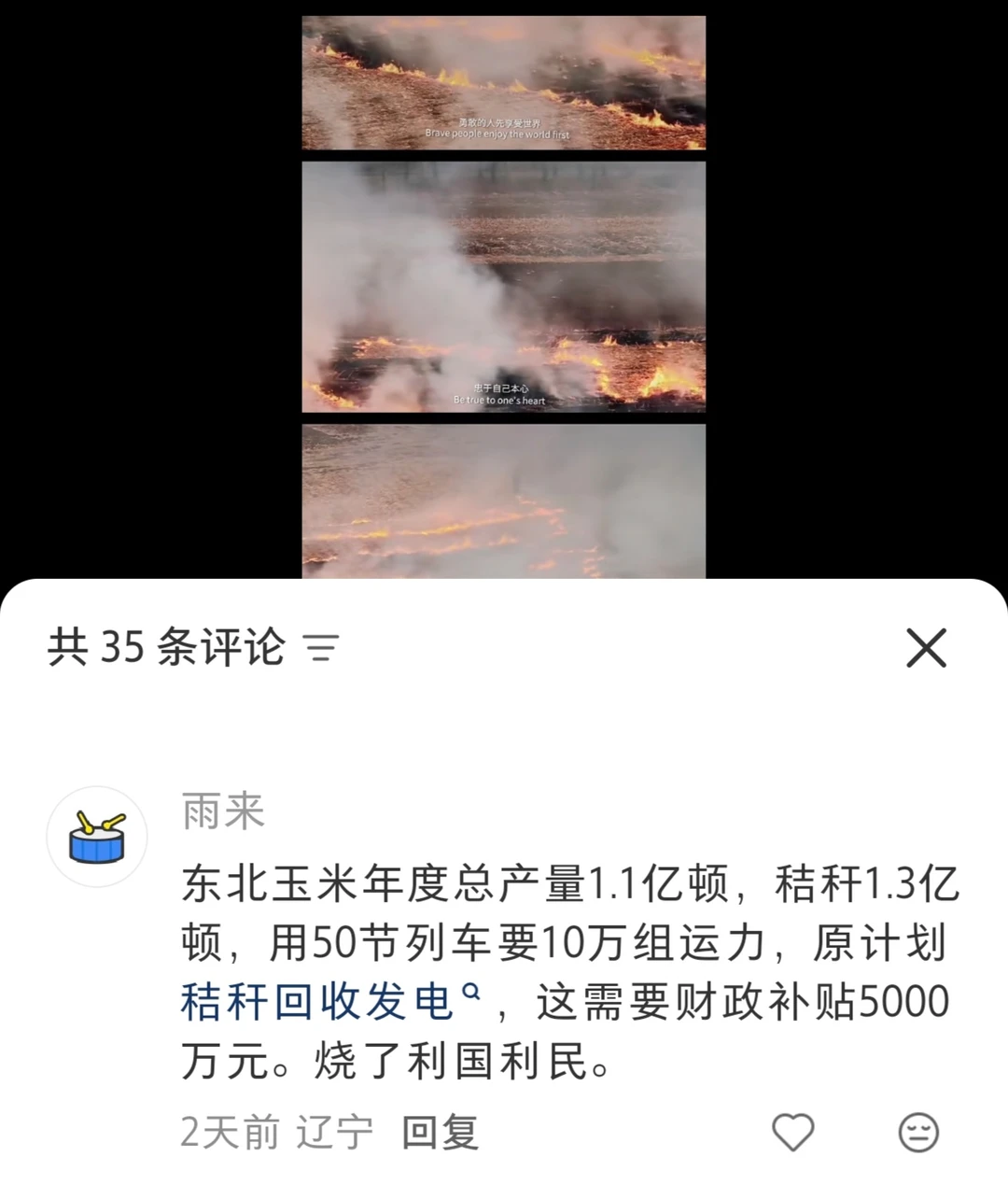 烧秸秆利国利民?看DeepSeek如何反驳!