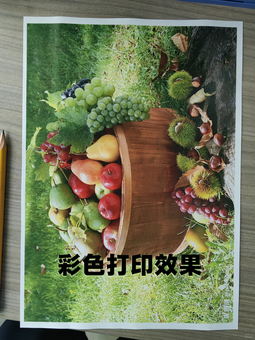 2025年别再自购打印机了!聪明公司都在“租