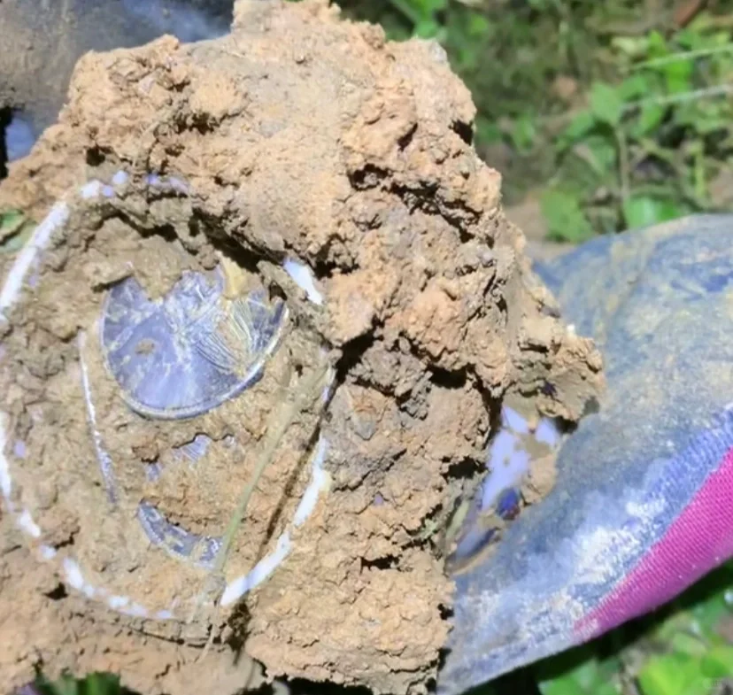 揭露一个内容特别炸裂的直播间