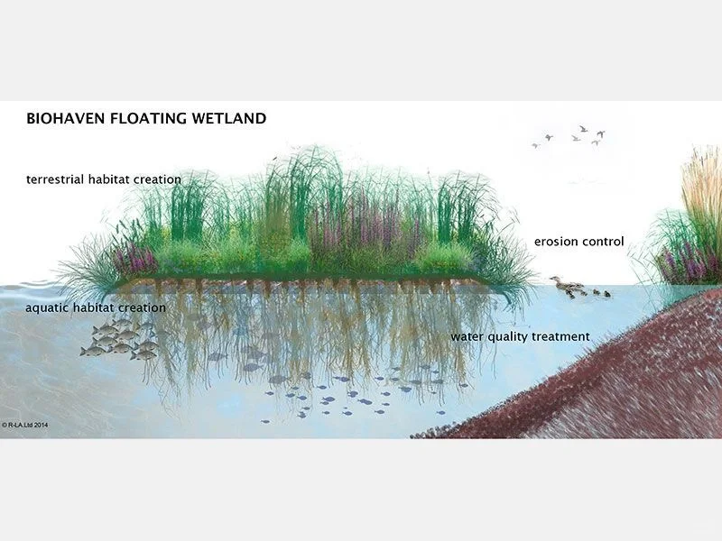 植物修复·植物降解·植物生态吸附·18P