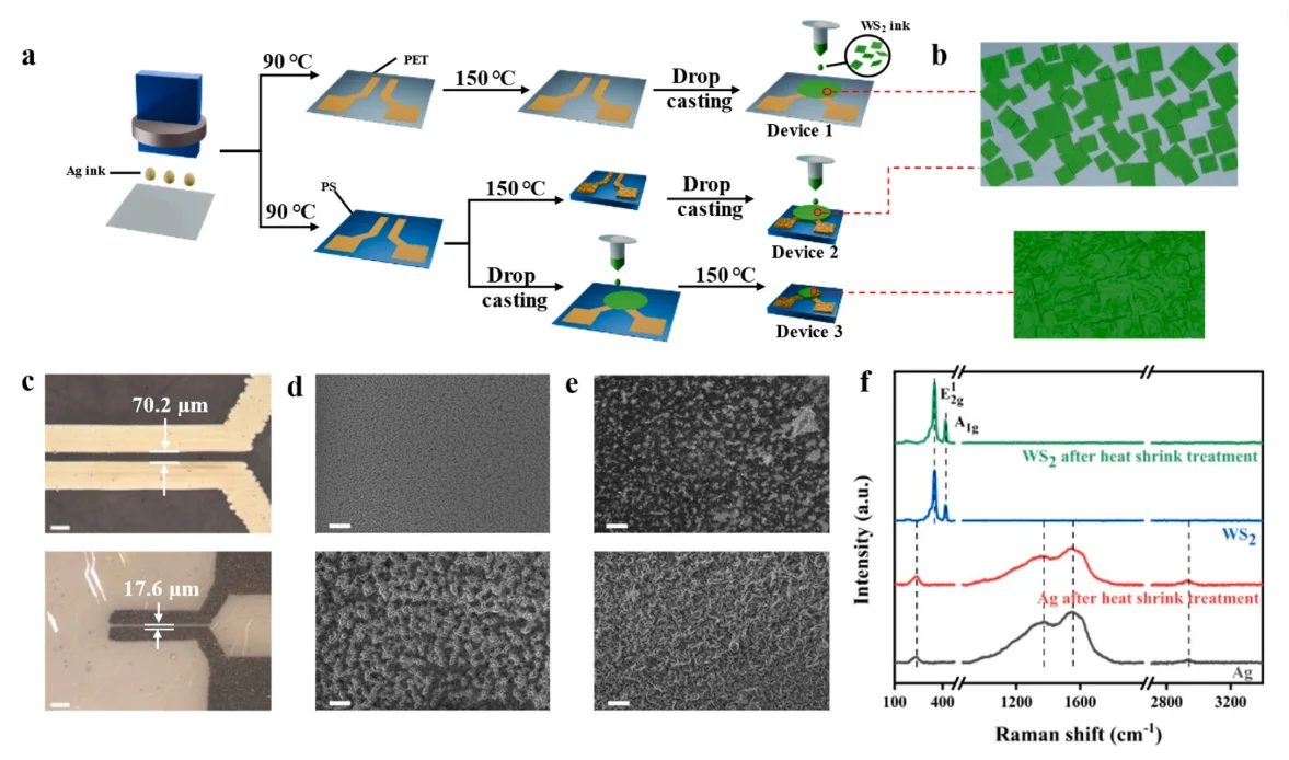 面向高集成成像的印刷二维WS2光电探测器