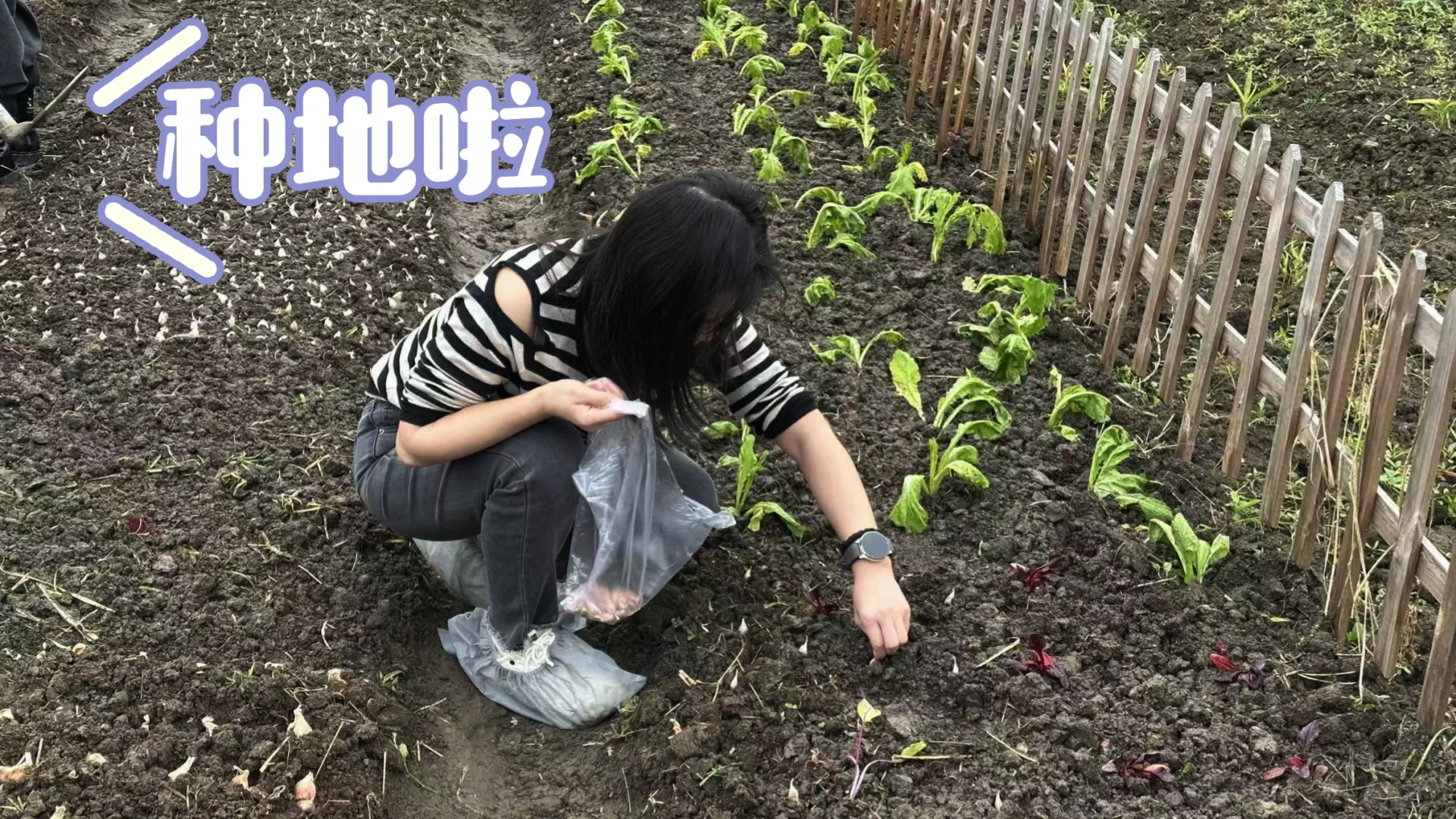 种地啦