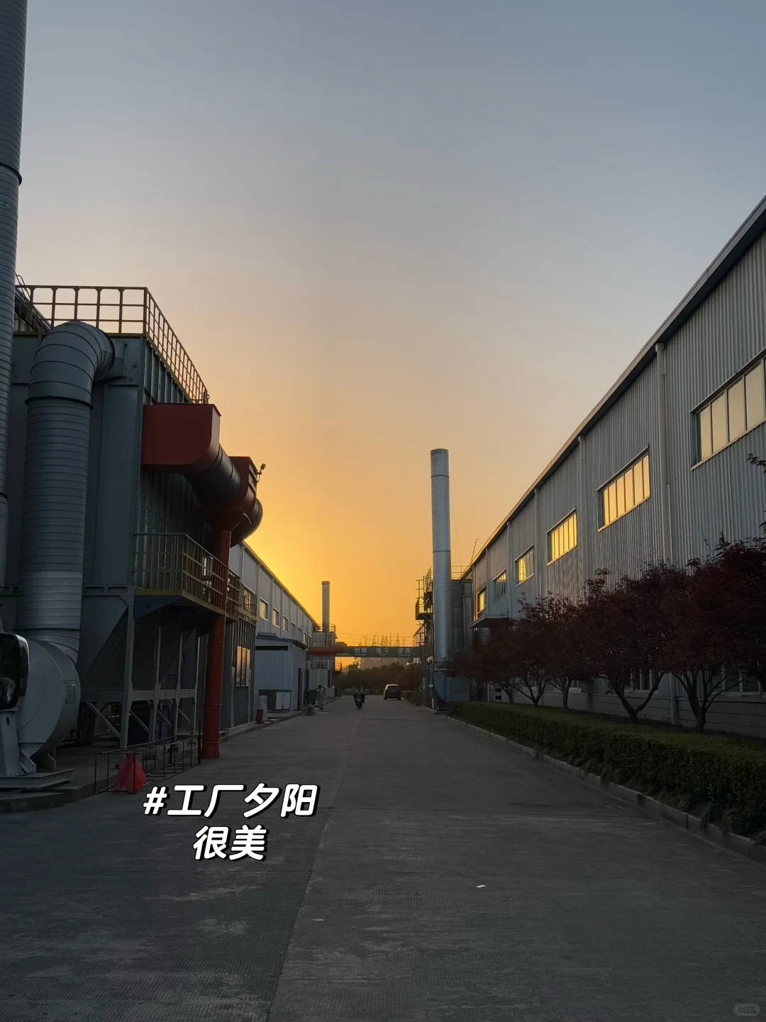 走进兔宝宝｜一场关于材料、工艺的游学