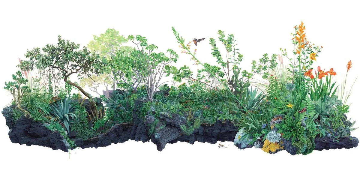 植物修复·植物降解·植物生态吸附·18P