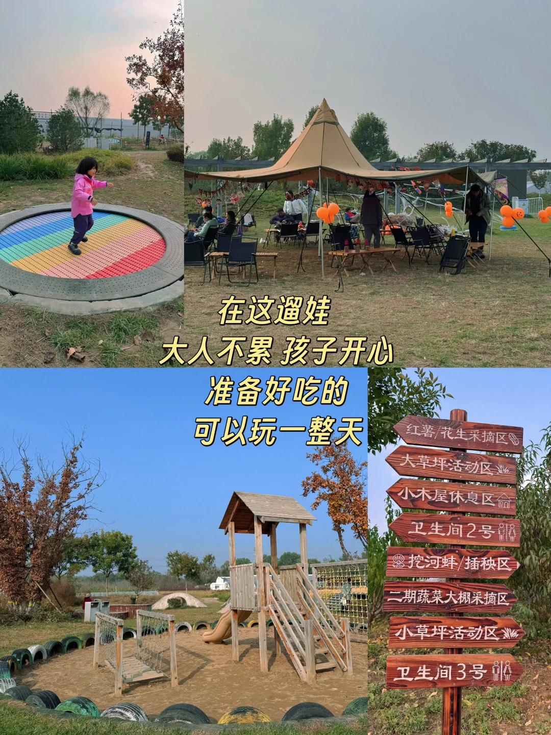 海淀竟然有这么好玩的小农场?被惊艳到了