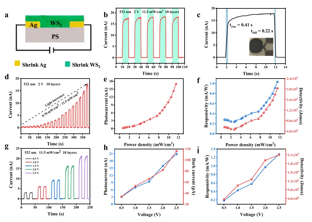 面向高集成成像的印刷二维WS2光电探测器
