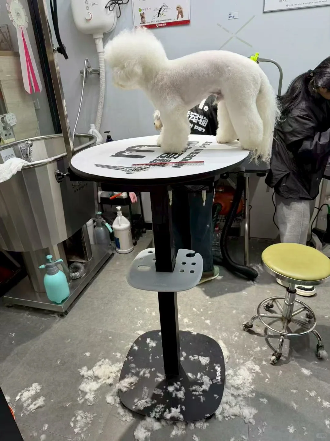 宠物店新店设备买家秀