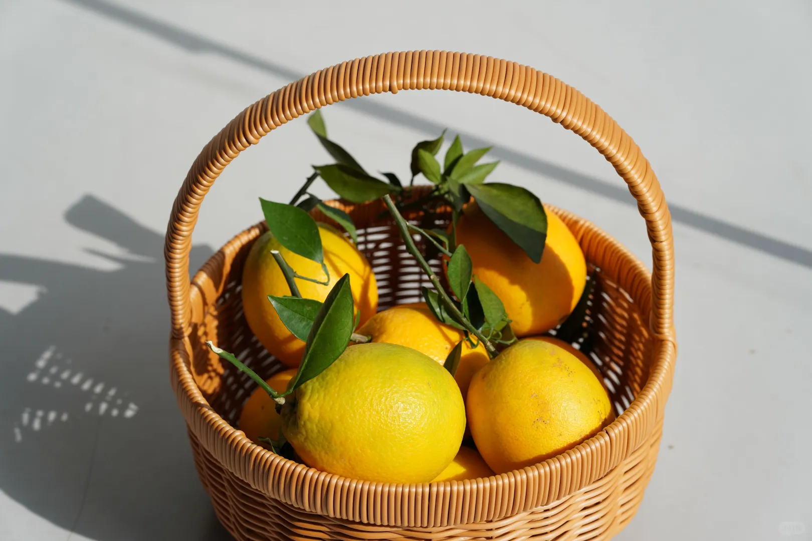 2025 友毅联助残！赣南脐橙甜透山海