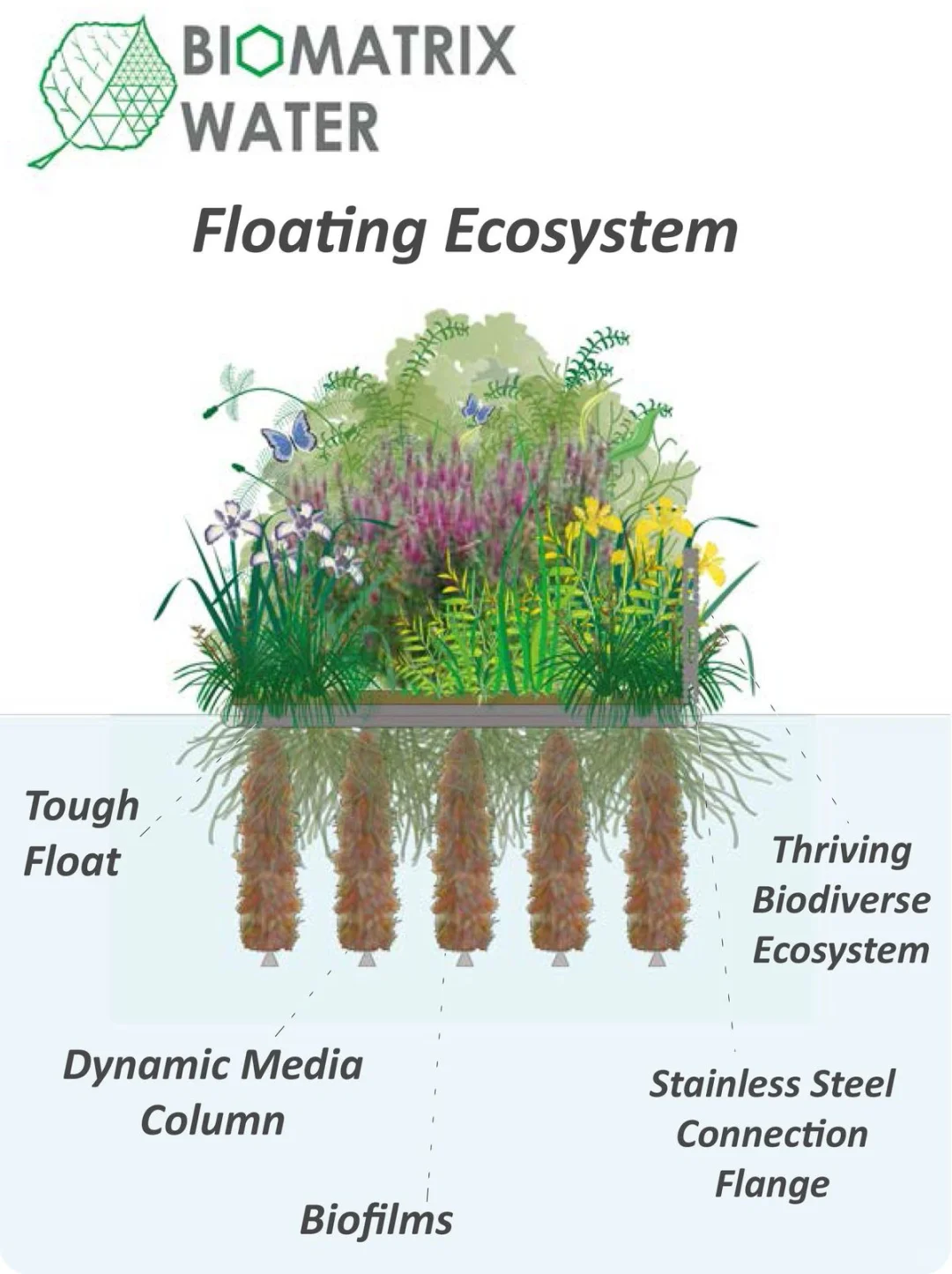 植物修复·植物降解·植物生态吸附·18P