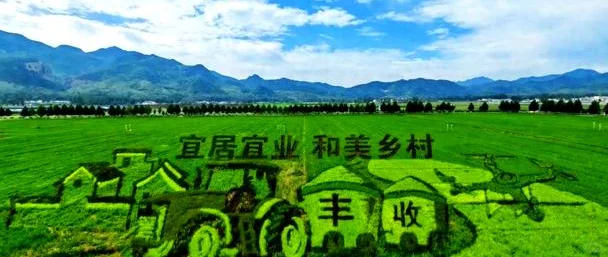 智慧南充振兴网：携手共进，绘就新画卷