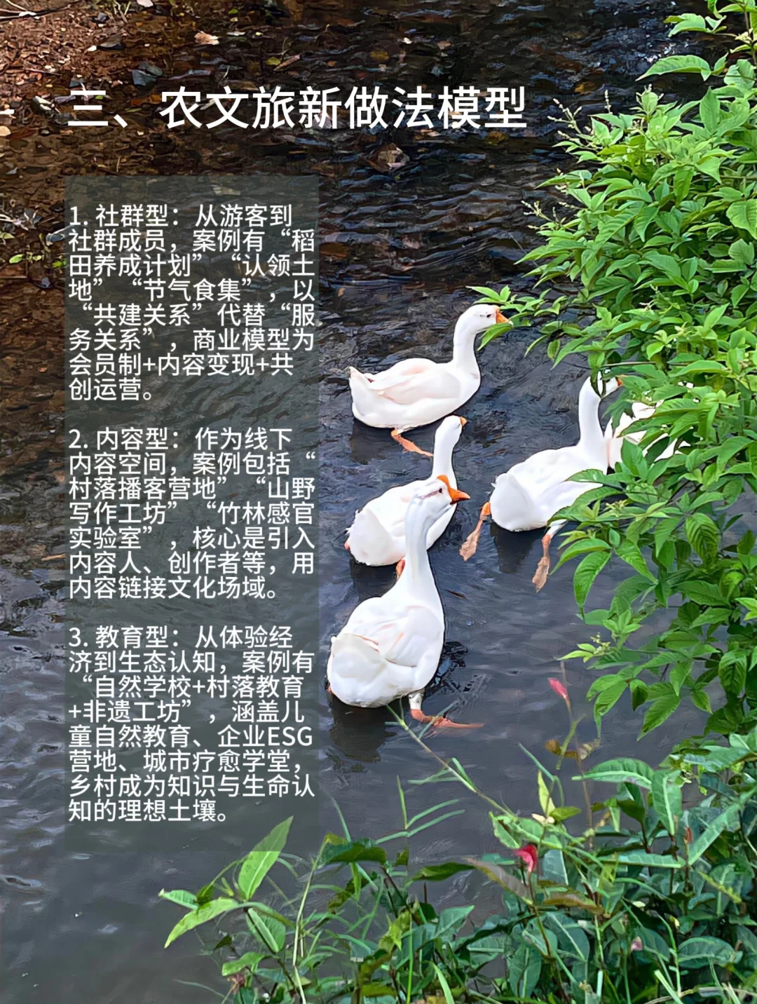 ?乡村创业|农文旅转型隐藏的机会