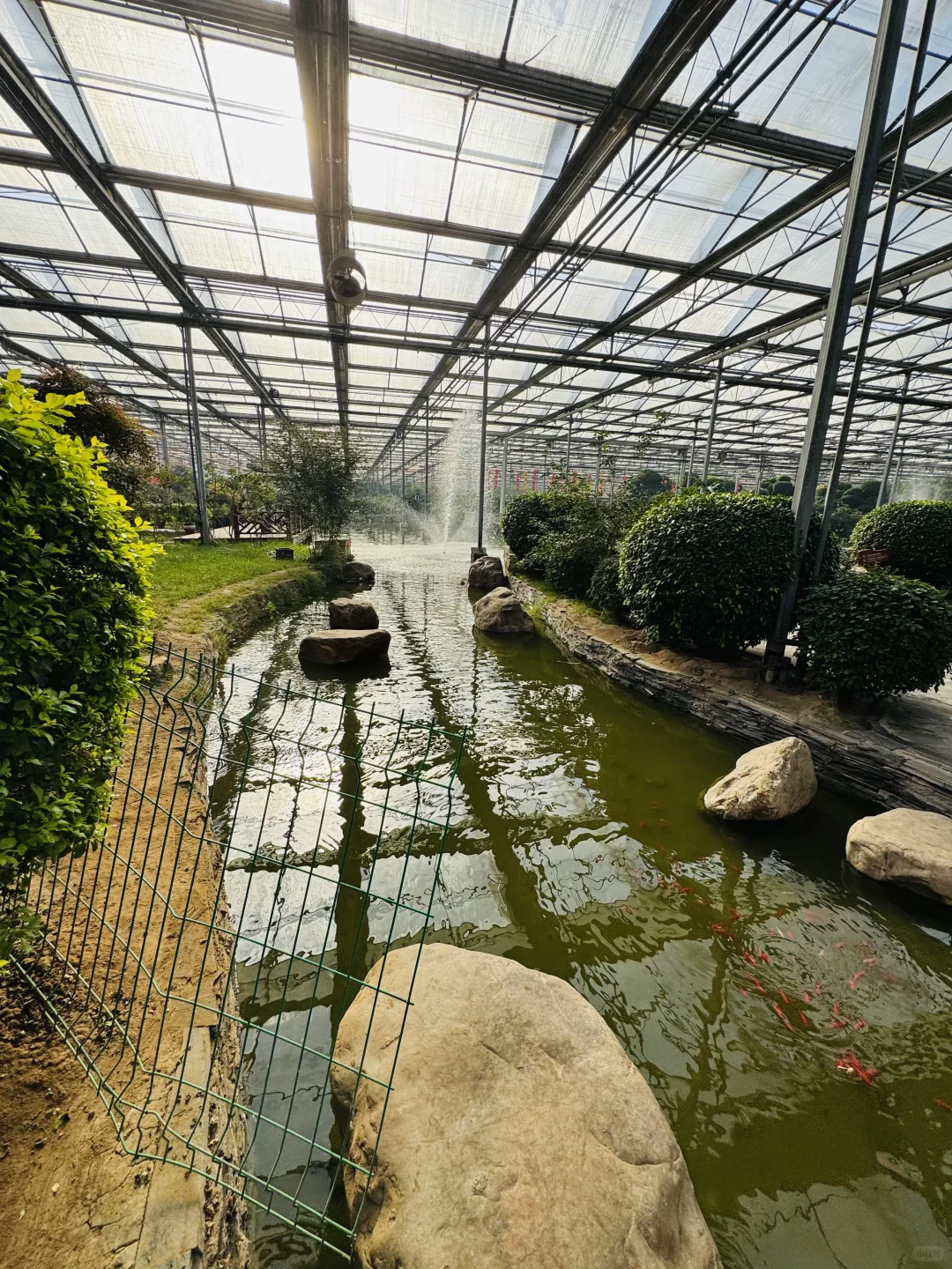 感受廊坊人民的阳光房快乐