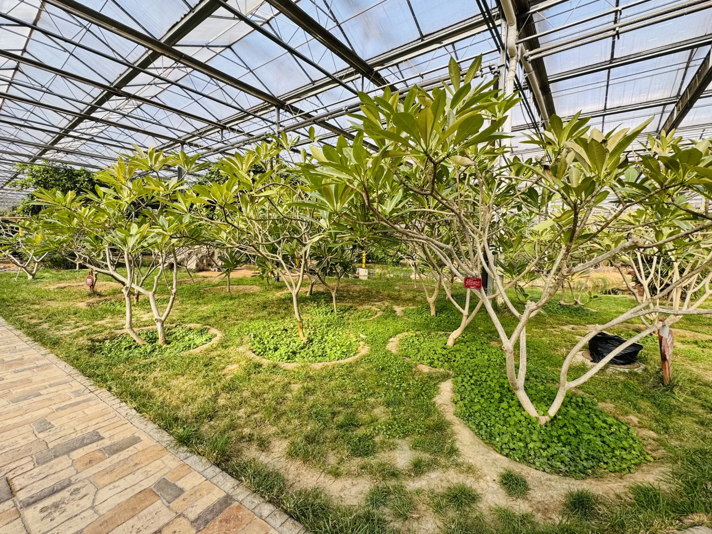 感受廊坊人民的阳光房快乐