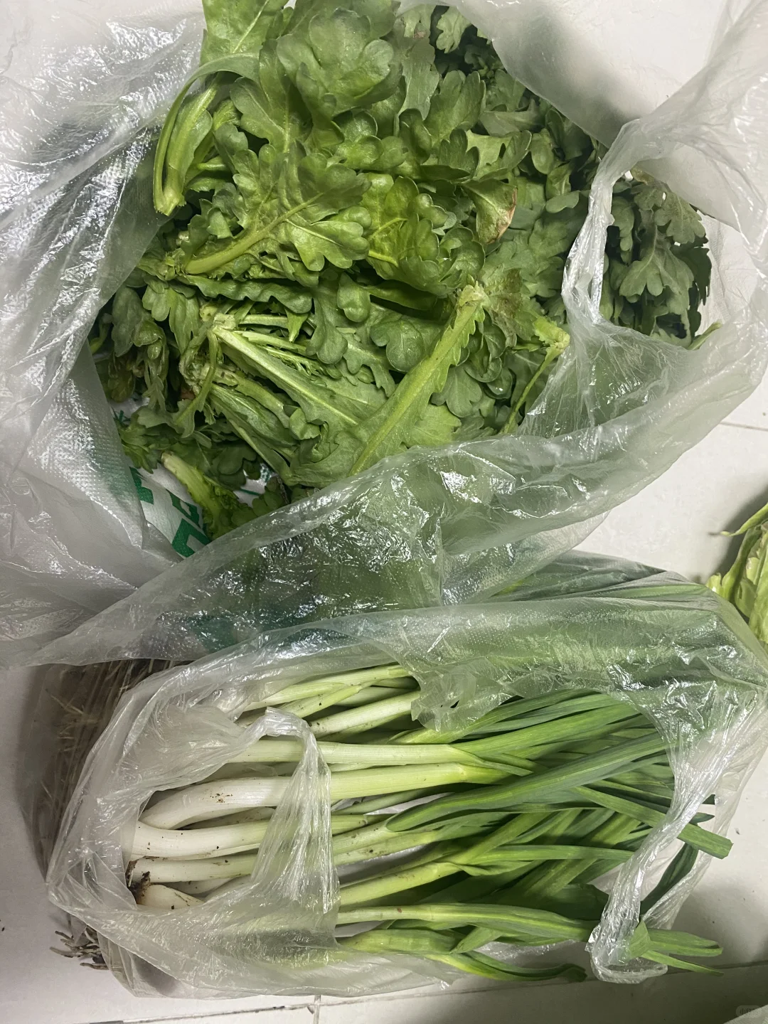 自家农村无农药蔬菜?