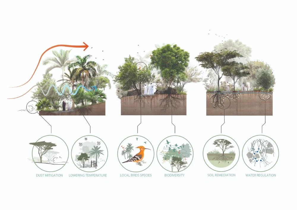 植物修复·植物降解·植物生态吸附·18P