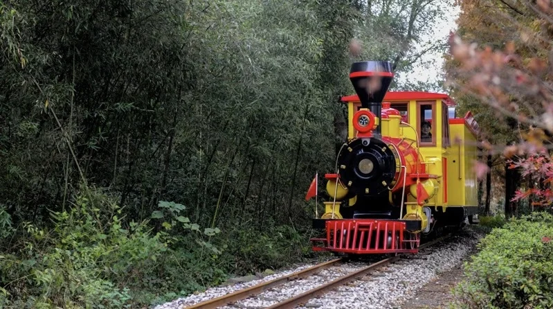 浙江安吉·鲁家村—小火车开出的致富路