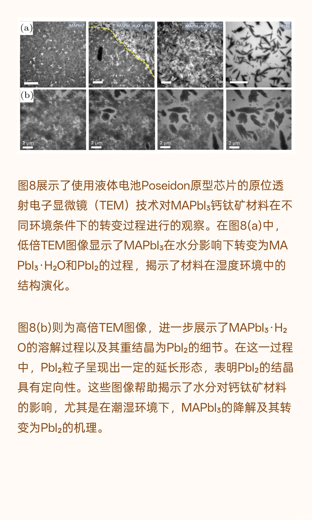 Chin. Phys. B | 钙钛矿