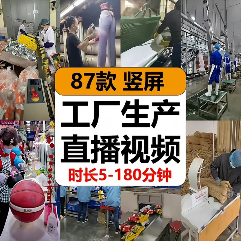 工厂生产线食品零食服装鞋子化妆品加工