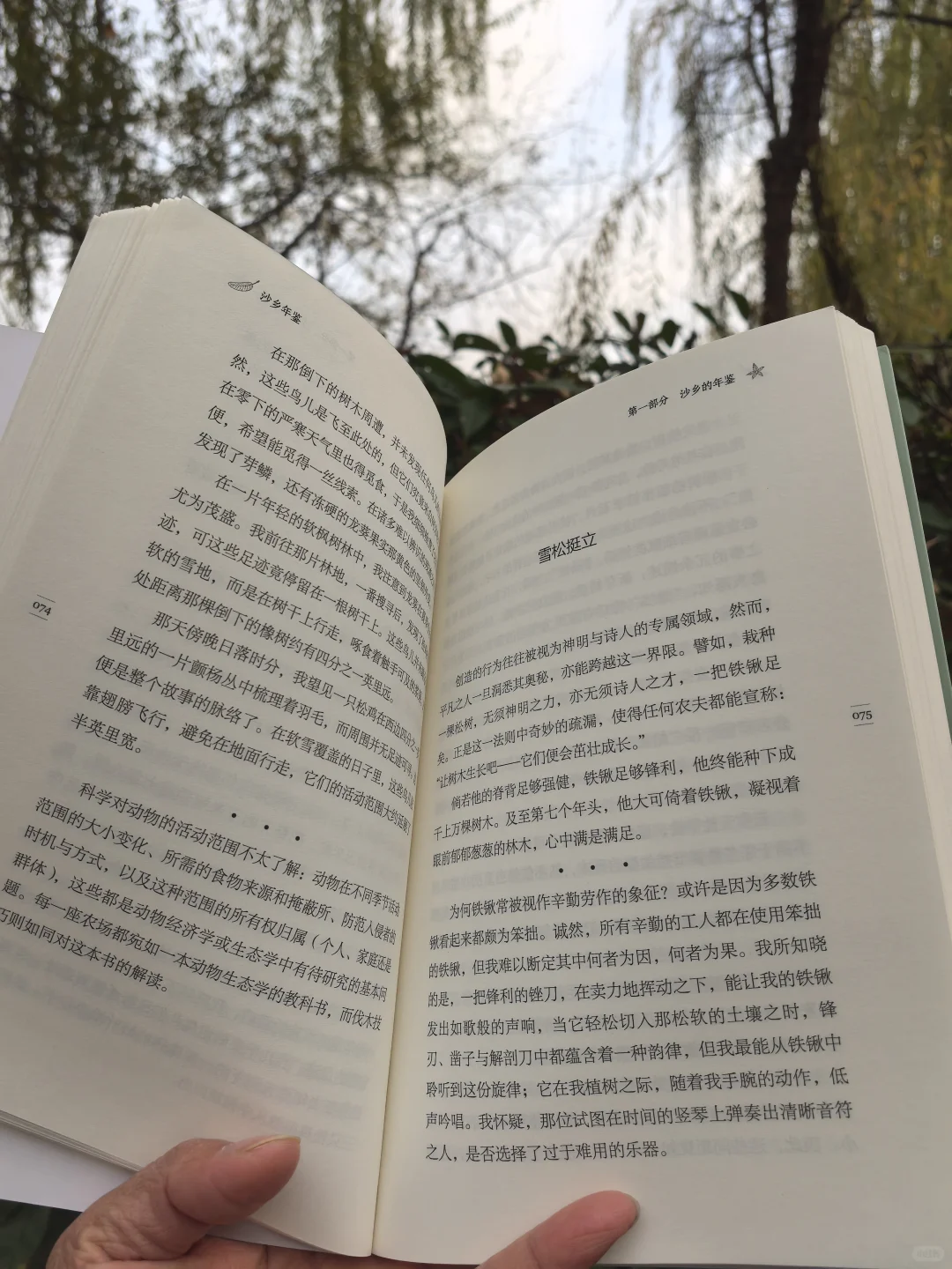 沙乡年鉴