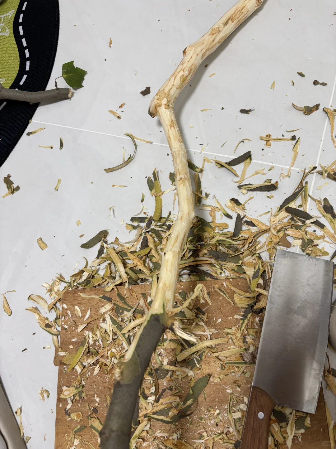 路边的树枝diy 手工