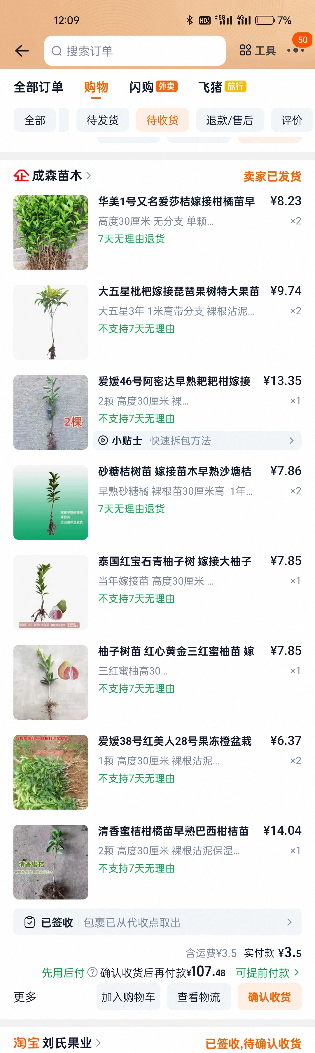 应森苗木的到了