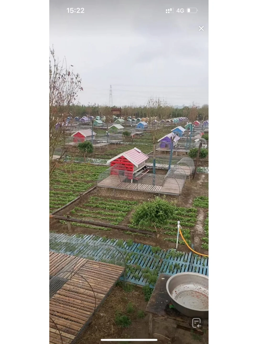 创业新项目认养智慧农场系统 做新农人